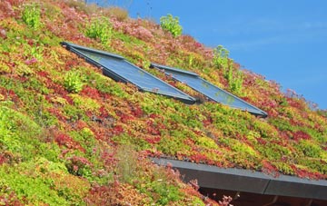 Levenshulme living roof systems